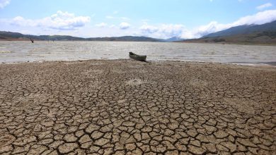 Photo of El fenómeno de El Niño amenaza con llegar antes y golpear más fuerte a Colombia