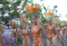 Photo of Cartagena será la ciudad invitada de la Feria Nacional de la Ganadería 2026 en Montería