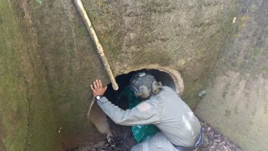 Photo of Evitan atentado con más de 600 kilos de explosivos en vía del Cauca