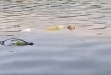 Photo of Hallan cuerpo sin vida flotando en el río Sinú a la altura del barrio Mocarí, en Montería