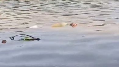 Photo of Hallan cuerpo sin vida flotando en el río Sinú a la altura del barrio Mocarí, en Montería