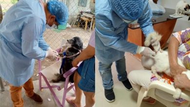 Photo of Investigación de Unicórdoba sobre el Síndrome de Noé gana primer lugar en congreso internacional de veterinaria