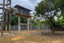 Photo of Puerto Libertador avanza en acceso al agua: CVS activa dos pozos solares en zona rural
