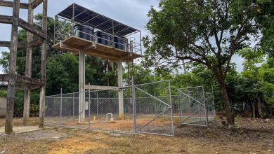Photo of Puerto Libertador avanza en acceso al agua: CVS activa dos pozos solares en zona rural