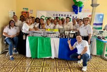 Photo of Más de 3.000 cordobeses reciben formación gratuita en la Casa de la Mujer