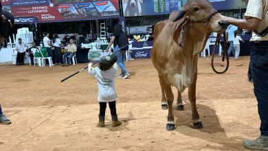 Photo of El futuro del campo se toma la Feria de la Ganadería 2026:  programa ‘Echando Raíces’ inspira a las nuevas generaciones de cordobeses