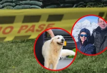 Photo of El caso de la joven therian investigada por la muerte de sus padres en Países Bajos