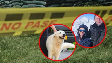 Photo of El caso de la joven therian investigada por la muerte de sus padres en Países Bajos