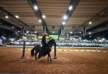 Photo of La Trocha Pura Colombiana brilló ante un Coliseo lleno en la Feria Nacional de la Ganadería