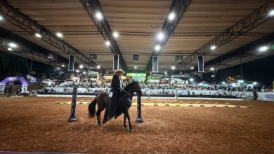 Photo of La Trocha Pura Colombiana brilló ante un Coliseo lleno en la Feria Nacional de la Ganadería