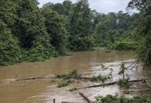 Photo of Se mantiene la alerta naranja en la cuenca del río Canalete por riesgo de inundaciones en Córdoba