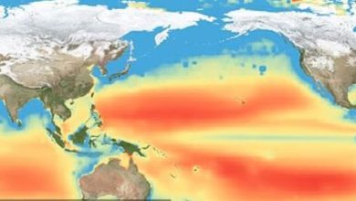 Photo of NOAA confirma oficialmente el fenómeno de El Niño y advierte riesgo de un evento histórico