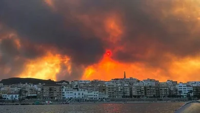 Photo of Incendio en España deja 12 muertos y sigue bajo control