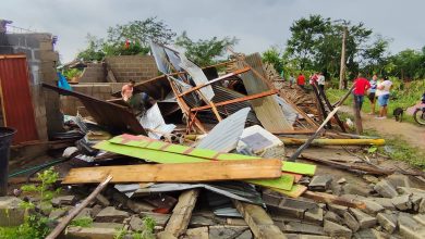 Photo of Aumenta la emergencia en Palmira: más de 100 viviendas resultaron afectadas por vendaval en Tierralta