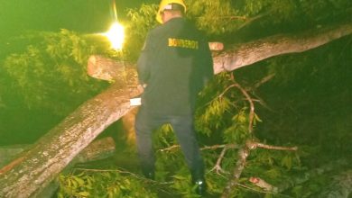 Photo of Planeta Rica atiende emergencias tras fuerte vendaval
