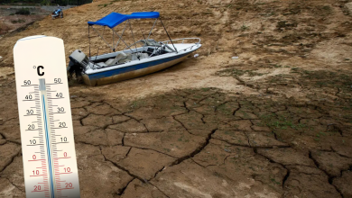 Photo of IDEAM alerta que El Niño podría extenderse hasta 2027