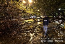 Photo of Alcaldía de Montería mantiene atención por daños tras fuerte tormenta