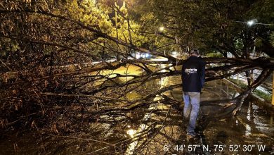 Photo of Alcaldía de Montería mantiene atención por daños tras fuerte tormenta