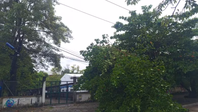 Photo of Afinia atiende daños eléctricos tras fuerte tormenta en Córdoba