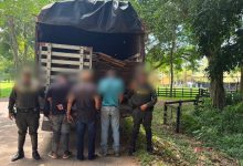 Photo of Capturan a tres hombres por transporte ilegal de madera en Montería