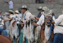 Photo of Córdoba recibirá la 79.ª Feria Nacional Cebú