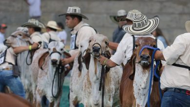 Photo of Córdoba recibirá la 79.ª Feria Nacional Cebú