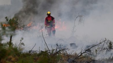 Photo of Incendios se acercan a Burdeos y obligan a miles a evacuar
