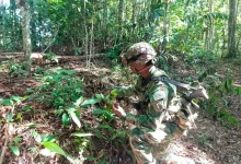 Photo of Monteriano murió en enfrentamiento armado en el Bajo Cauca