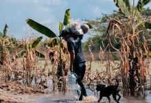 Photo of Solo 25% de negocios afectados por inundaciones se ha recuperado