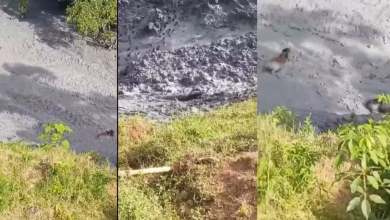 Photo of Volcán de lodo se reactiva y causa alarma en Urabá