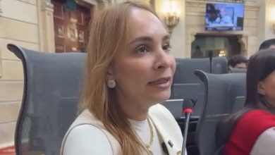 Photo of Martha Ruiz pide recursos y atención psicosocial tras terremoto