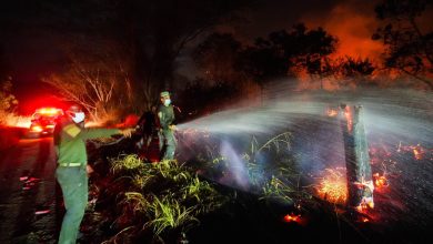 Photo of Incendios en Tolima dejan pérdidas por $134.000 millones