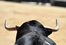 Photo of Sector taurino denuncia incumplimientos del Gobierno