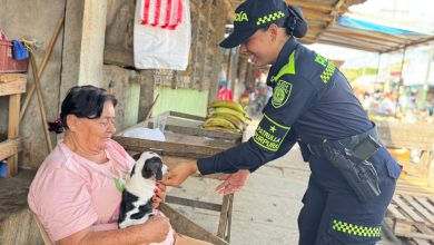Photo of La patrulla púrpura se toma el mercadito el sur