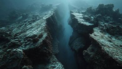 Photo of Científicos captan cómo se fragmenta la Tierra bajo el Pacífico
