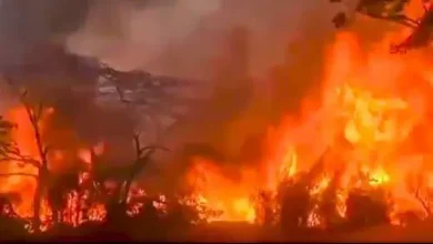 Photo of Incendios forestales mantienen en alerta al Tolima