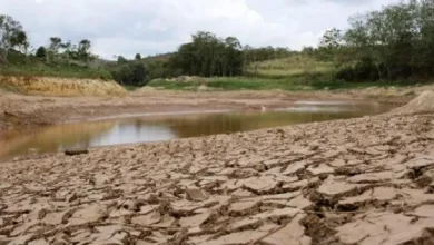 Photo of El Niño pone en alerta a 558 municipios de Colombia