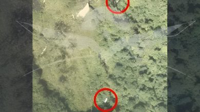 Photo of Hallan sin vida a los cinco ocupantes de avioneta en Chocó