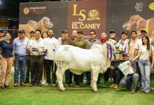 Photo of Más de 15.000 visitantes dejó la Feria Nacional Cebú en Córdoba