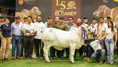 Photo of Más de 15.000 visitantes dejó la Feria Nacional Cebú en Córdoba