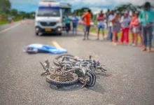 Photo of Accidentalidad vial aumenta 67% en Montería y su área