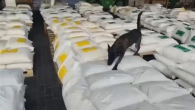 Photo of ¡Golpe al narcotráfico! Incautan 7,6 toneladas de cocaína en Cartagena