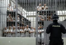 Photo of Bukele estudia liberar a la mitad de los presos en El Salvador