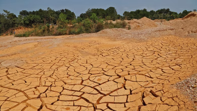 Photo of Oficialmente el Ideam declara el fenómeno de El Niño en Colombia
